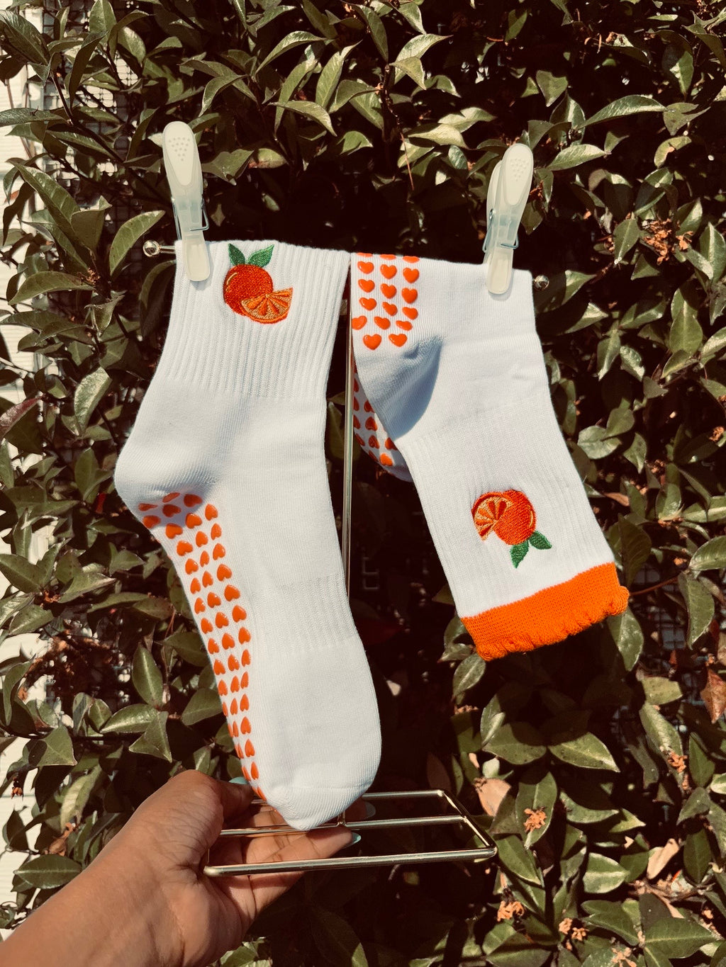 🍊 Orange Crush