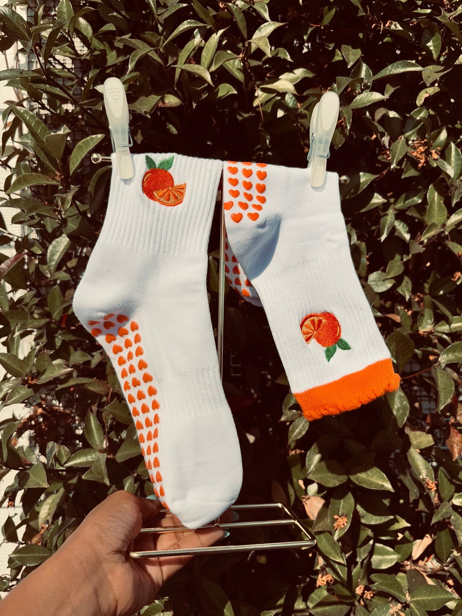 🍊 Orange Crush